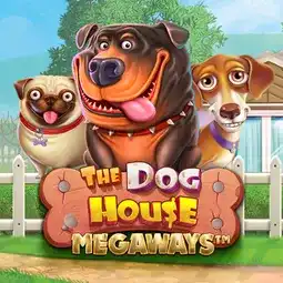 The Dog House Megaways game at Snatch Casino for United Kingdom players The Dog House Megaways game at Snatch Casino for United Kingdom players
